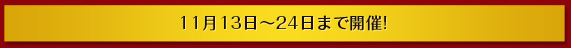 11月13日～24日まで開催!